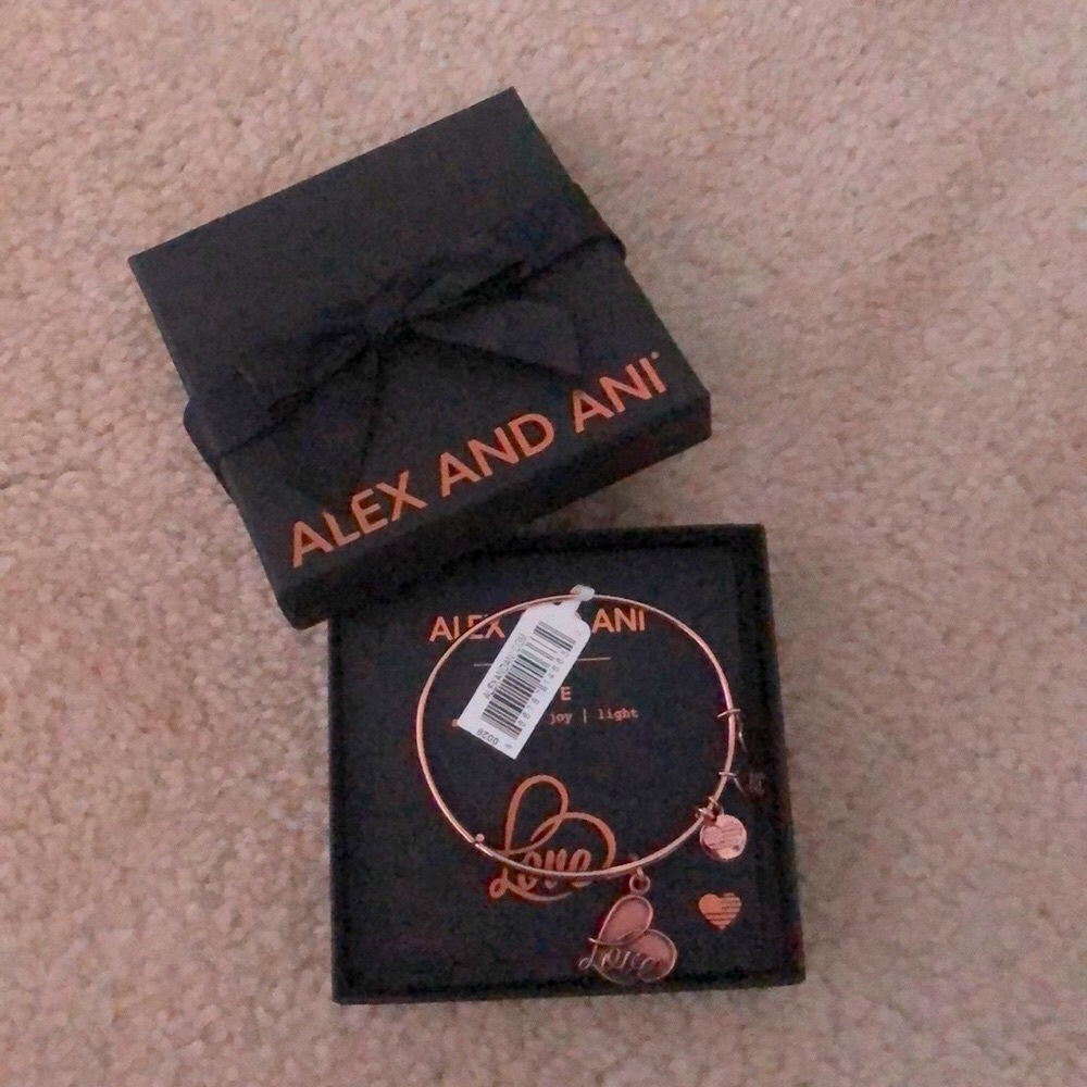 NWTO Alex and Ani bracelet